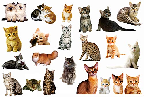 Cute 3D Cartoon Animal Cats Wall Stickers