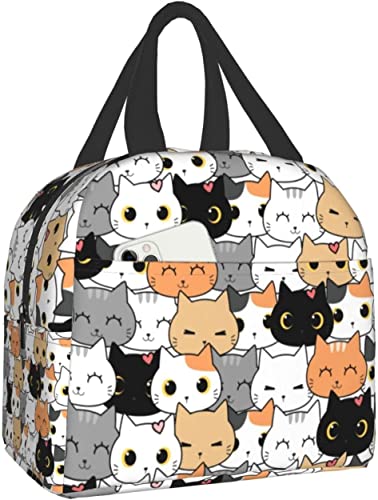 Cute Cat Lunch Box