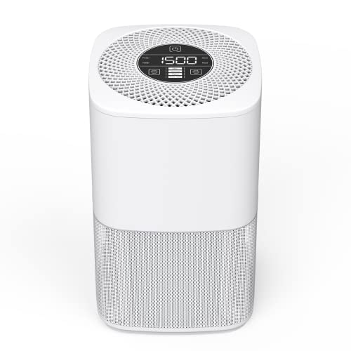 Cwxwei Air Purifier for Bedrooms & Homes
