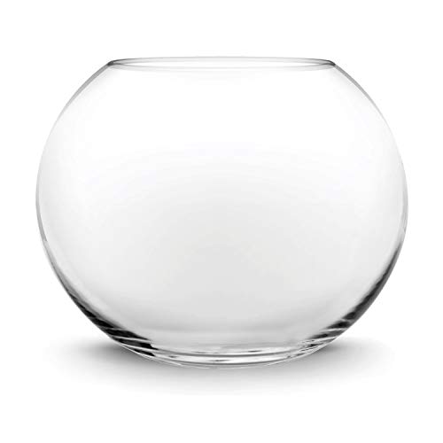 Glass Bubble Bowl | Fish Bowl Vase | Round Bowl Terrarium | Globe Flower Vase