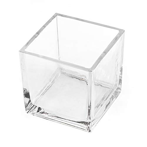 CYS EXCEL Glass Cube Vase - Elegant and Versatile