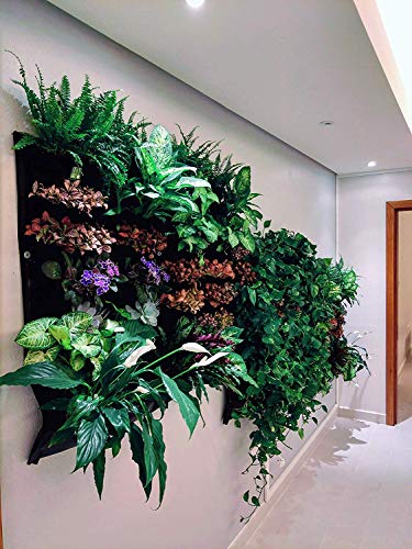 Delectable Garden Indoor Wall Planter