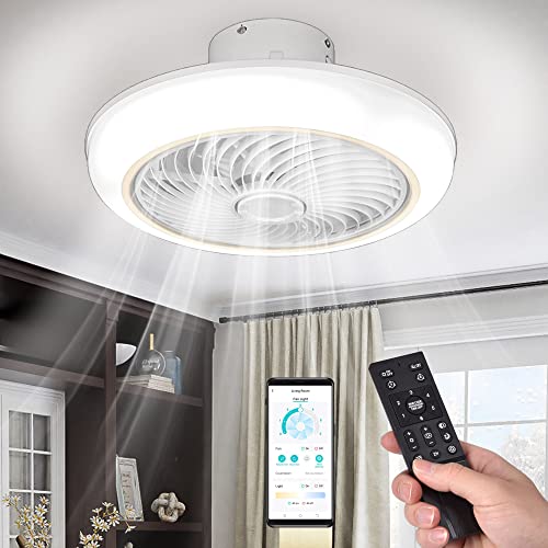 DELight Smart Ceiling Fan with Lights