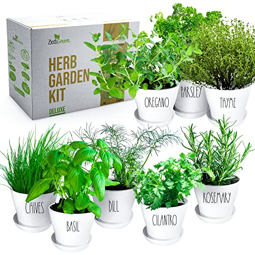 Zestigreens Indoor/Outdoor Herb Garden Kit - 8 Varieties with Pots and Soil