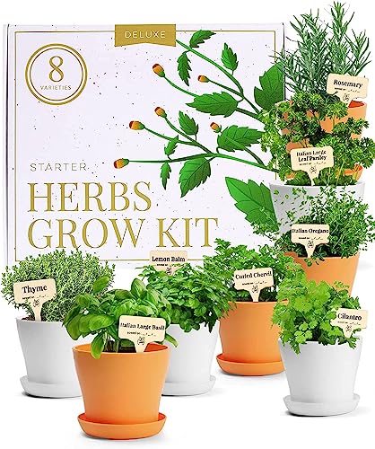 Deluxe Herb Garden Kit for a Home Grown Experience