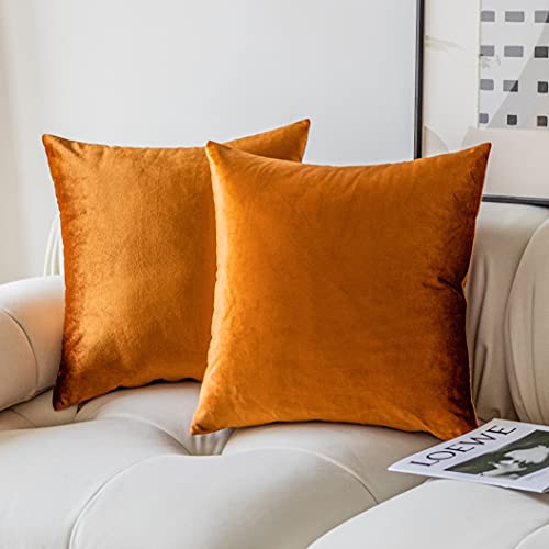 Demetex Soft Velvet 18x18 Fall Pillow Covers, Set of 2, Copper