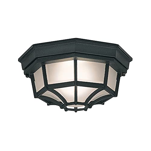 Designer Fountain Outdoor Flush Mount Ceiling Light in Black