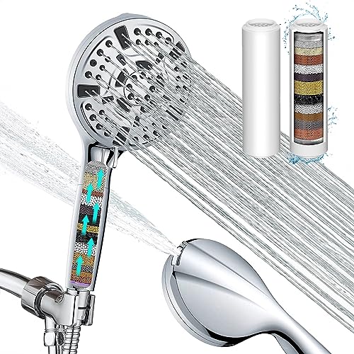 Detachable Filtered Shower Head with Handheld