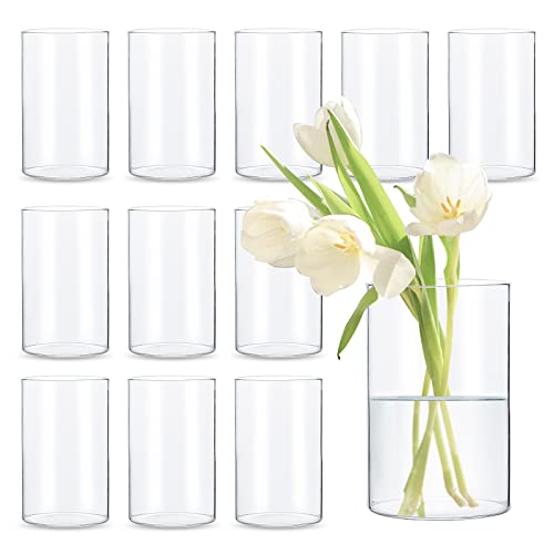 Devilfire Cylinder Glass Vases - Set of 12