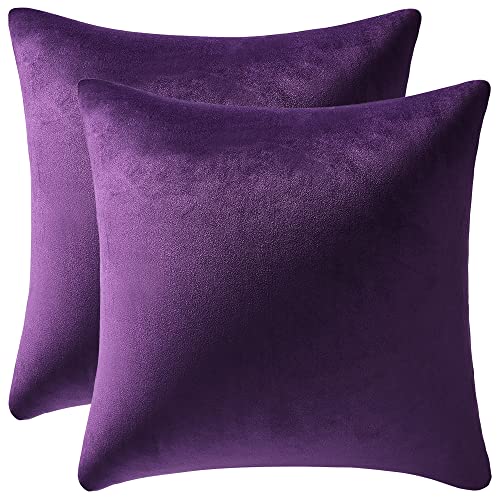 DEZENE 18x18 Purple Velvet Throw Pillow Cases: 2 Pack Farmhouse Decor Covers
