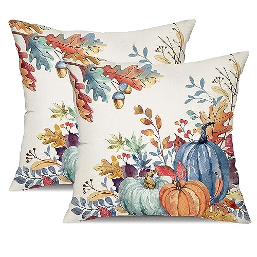 DFXSZ Fall Pillow Covers