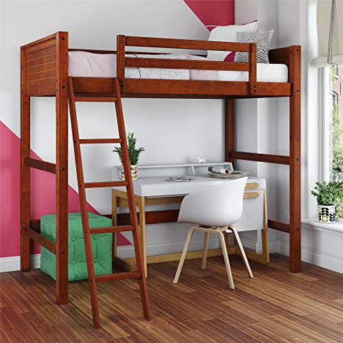 DHP Moon Bay Kids Twin Loft Bed with Ladder, Walnut