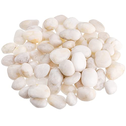 Dicunoy 6LB White River Rocks