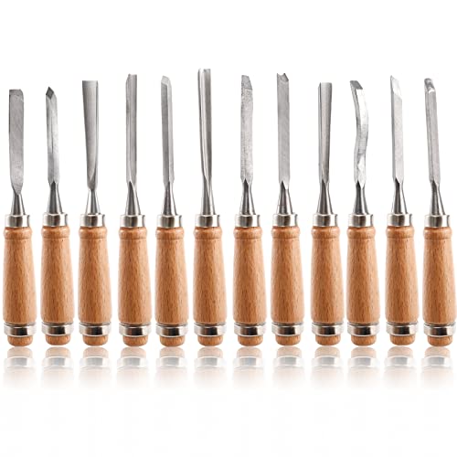 Dicunoy 12 Piece Wood Carving Tool Set for Crafts and Gifts