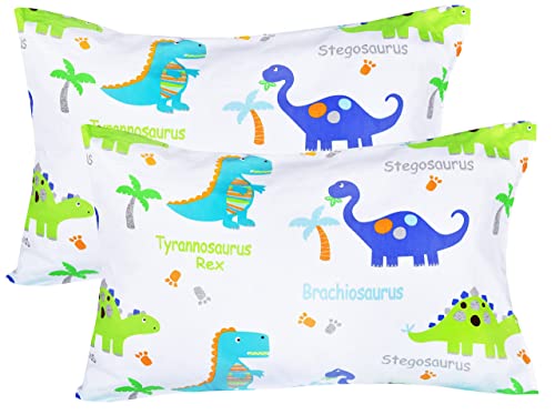 Dinosaur Cartoon Pillowcases