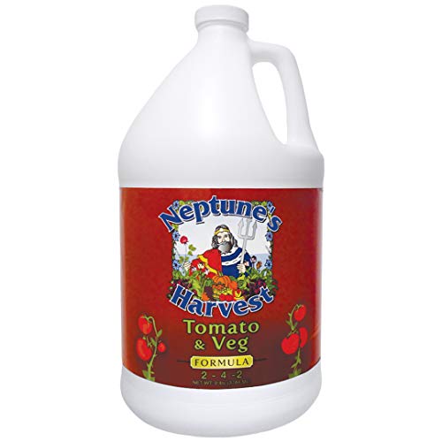 Divine Fertilizer for Thriving Tomatoes & Vegetables