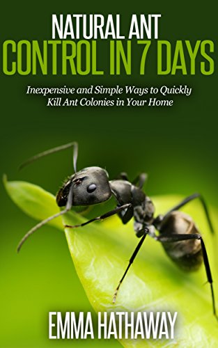 DIY Ant Control: Get Rid of Ants in 7 Days