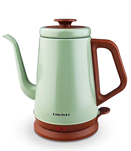 DmofwHi 1.0L Stainless Steel Electric Kettle - Green