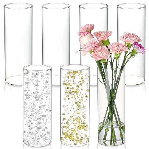 DNANAOL Glass Cylinder Vases