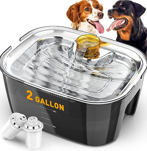 2 Gallon Stainless Steel Dog Water Fountain for Multiple Pets