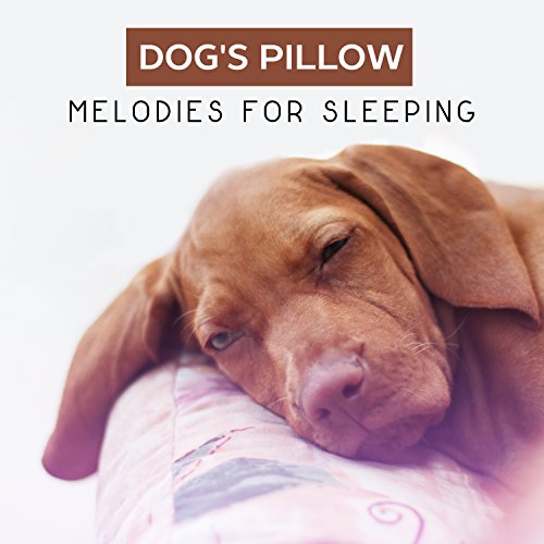 Dog's Pillow: Melodies for Sleeping