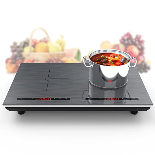 Double Induction Cooktop 24 Inch