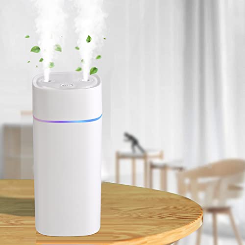 Double Spray Small Humidifier for Skin and Plants