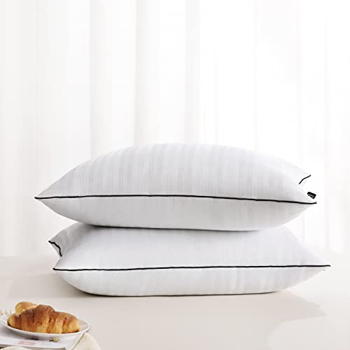 downluxe Standard Size Bed Pillows Set of 2