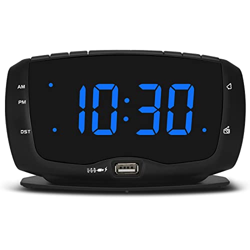 DreamSky Alarm Clock Radio with USB Charging Ports
