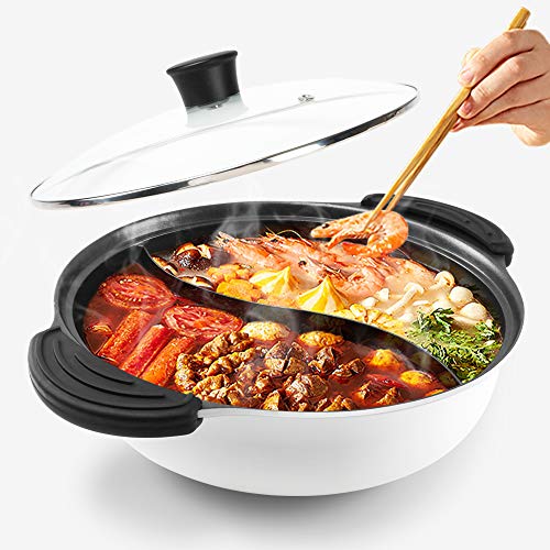 Portable Induction Cooktop Include 6 Quarts Cooking Pot with Divider, Dual Hot  Pot Made of 304 Stainless Steel, with Electric Countertop Burner Enjoy  Shabu Shabu Hot Pot Party with Family and Friends 
