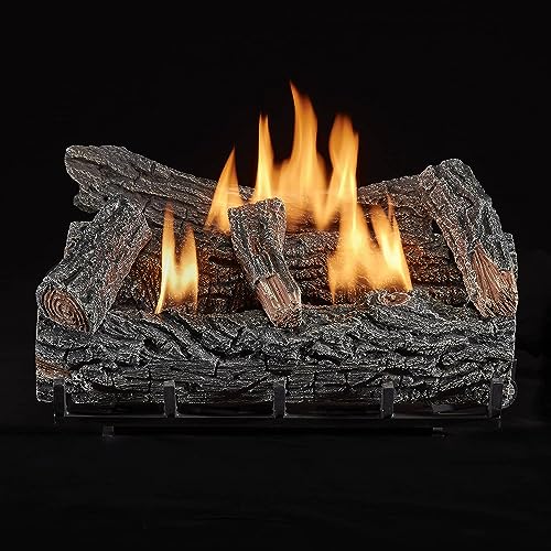 Duluth Forge DLS-L22T Propane Gas Ventless Fireplace Logs Set