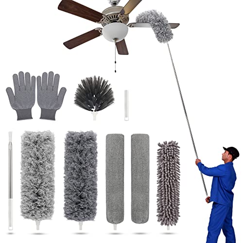 Duster with Extension Pole for Cleaning