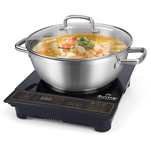 Duxtop Induction Cooktop with Stainless Steel Pot