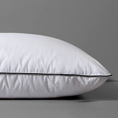 DWR Goose Feather Down Pillow