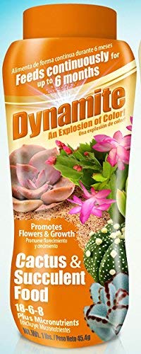 Dynamite Cactus & Succulent Food