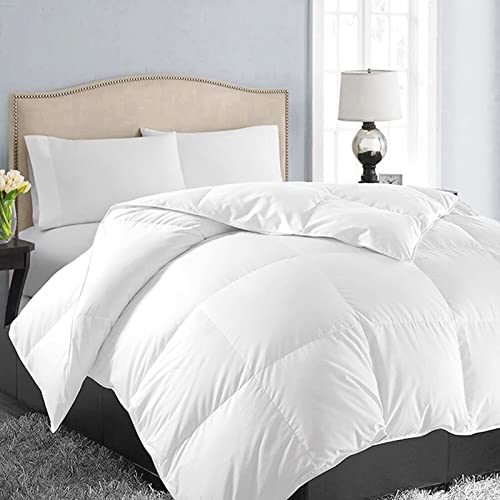 Queen Size Soft Quilted Down Alternative Comforter - White