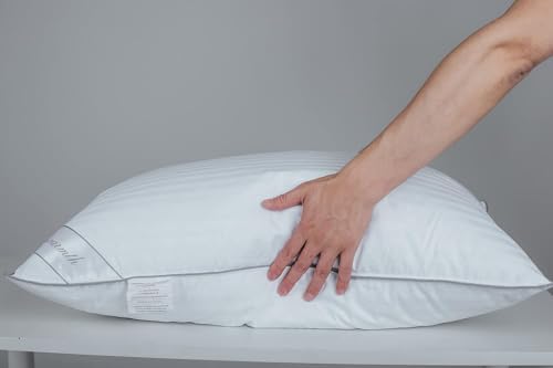 Eastwarmth Standard Goose Feather Down Pillow