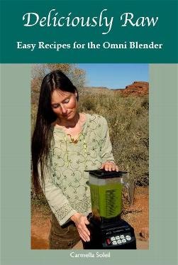 Easy Raw Recipes for the Omni Blender