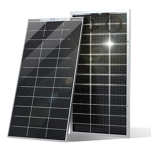 ECO-WORTHY Bifacial Solar Panel 195W - High-Efficiency Off-Grid Power Charger