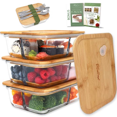 EcoPreps Glass Bento Box Containers
