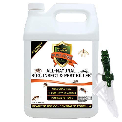 Effective Natural Bug, Insect & Pest Killer for Indoor and Outdoor Use