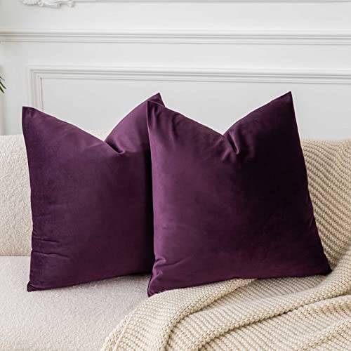 Eggplant Purple Soft Velvet Throw Pillow Covers 18x18 Set of 2