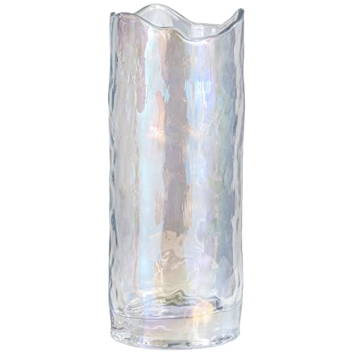 Ekirlin Clear Glass Flower Vase