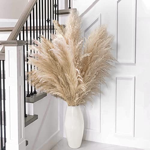 Elegant Fluffy Pampas Grass for Boho Home Decor