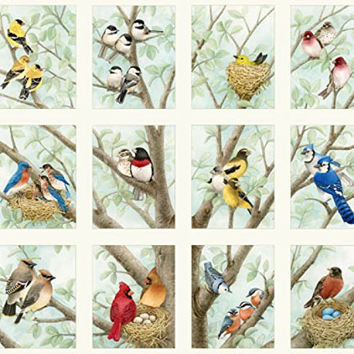 Elizabeth's Studio Beautiful Birds Songbirds Quilt Fabric 24" x 44" Panel