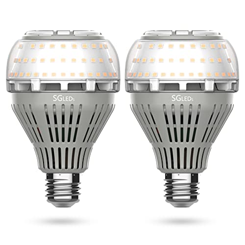 Energy-Saving LED Bulbs