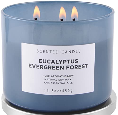 Eucalyptus Evergreen Forest 3 Wick Candle