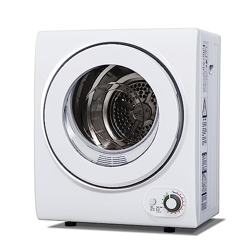15 Best 110V Dryer For 2024