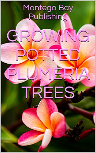 Exotic Potted Plumeria Trees for Your Garden