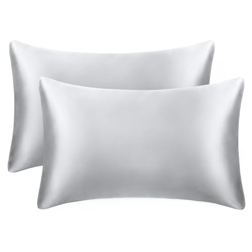 EXQ Home Silky Satin Pillowcases - Soft Grey Queen Size Set of 2